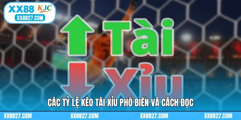 Các tỷ lệ kèo tài xỉu phổ biến và cách đọc
