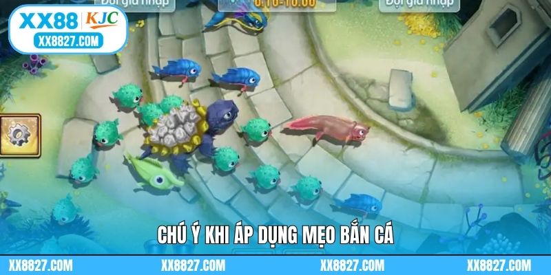 Chú ý khi áp dụng mẹo bắn cá