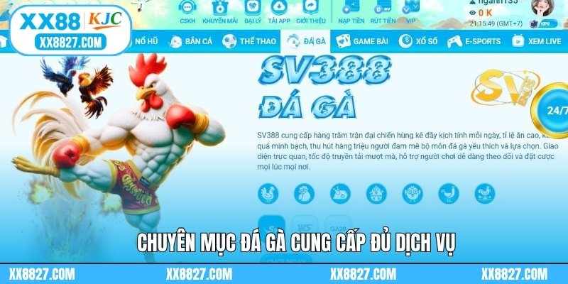 Chuyên mục đá gà cung cấp đủ dịch vụ