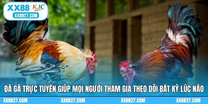 Đá gà trực tuyến giúp mọi người tham gia theo dõi bất kỳ lúc nào