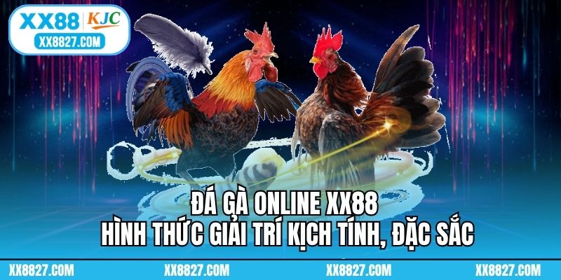 Đá Gà Online XX88 - Thỏa Niềm Đêm Mê Của Các Kê Thủ