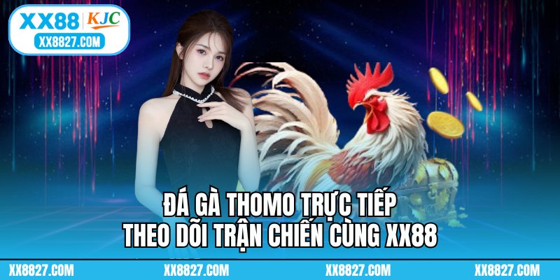 Đá Gà Thomo Trực Tiếp - Xem Chọi Kê Chất Lượng Tại XX88