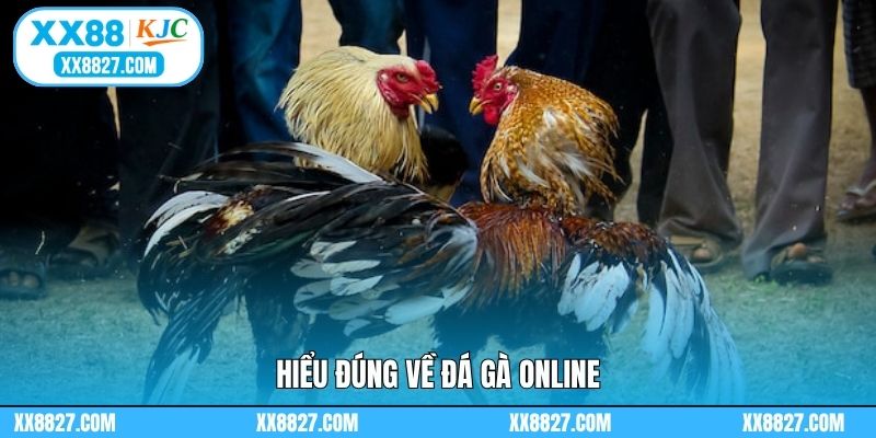 Hiểu đúng về đá gà online