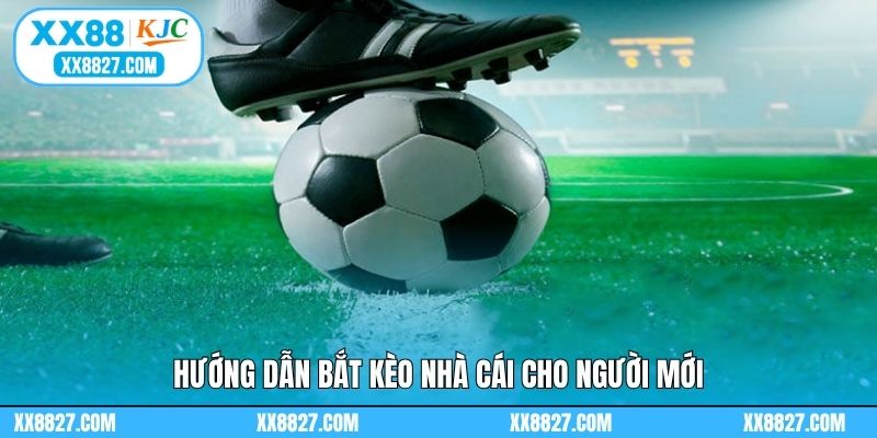 Hướng dẫn bắt kèo nhà cái cho người mới
