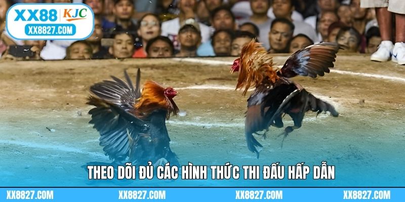Theo dõi đủ các hình thức thi đấu hấp dẫn